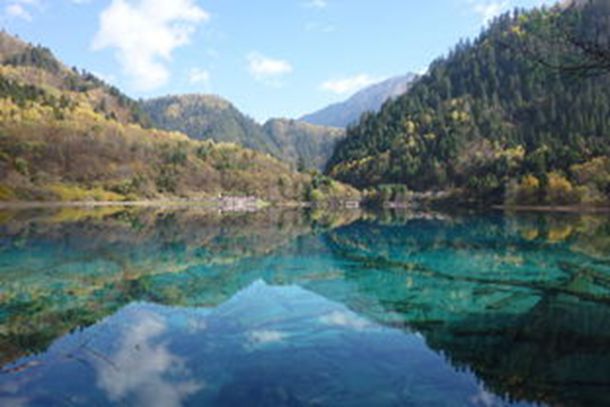 李冰冰簡歷 李冰冰簡歷